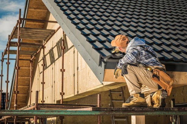 Best Roof Moss and Algae Removal  in Wyndham, VA